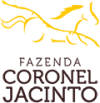 LOGOTIPO-coronel-2